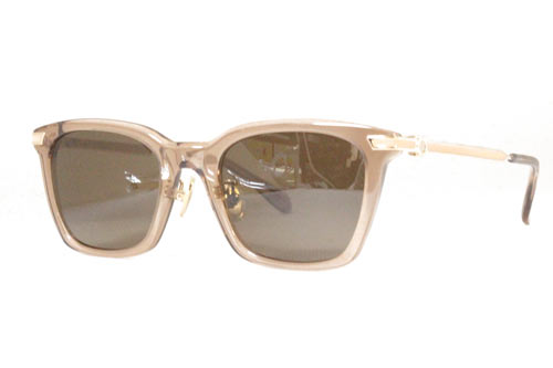 Ferragamo SF 2042SLB