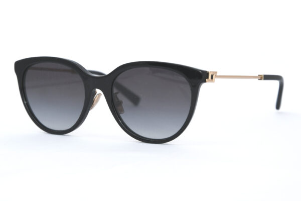 Tiffany&Co OTF 4243D